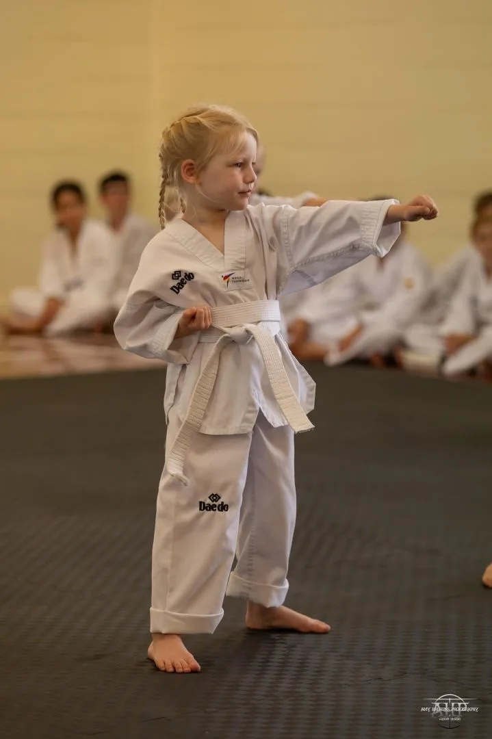 Superior Taekwondo Gallery Image 25
