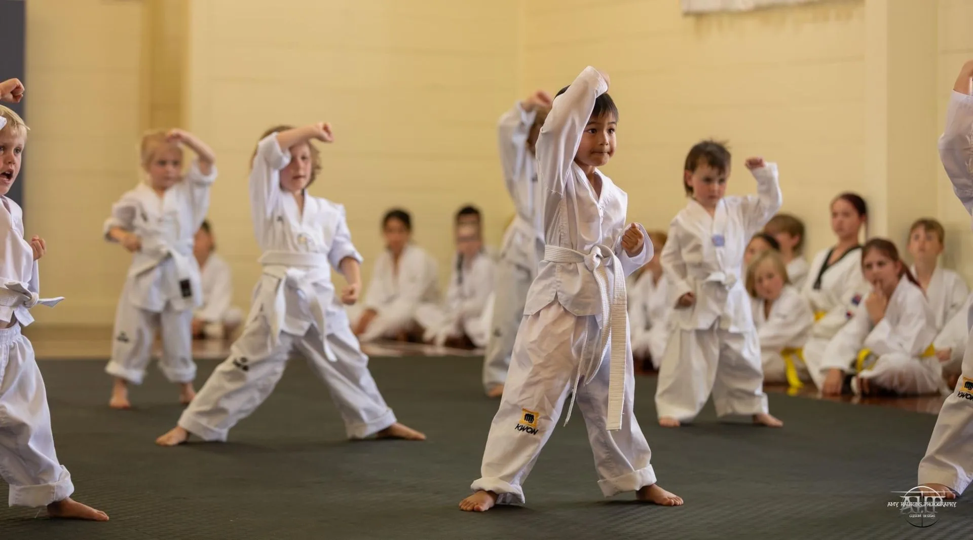 Superior Taekwondo Gallery Image 27