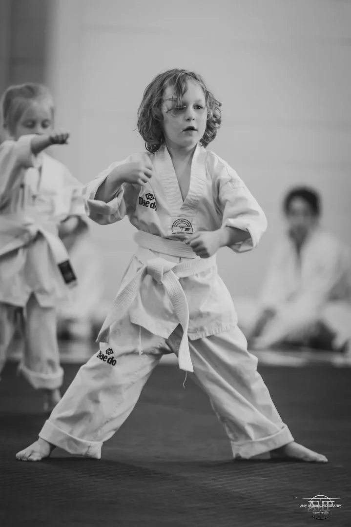Superior Taekwondo Gallery Image 35