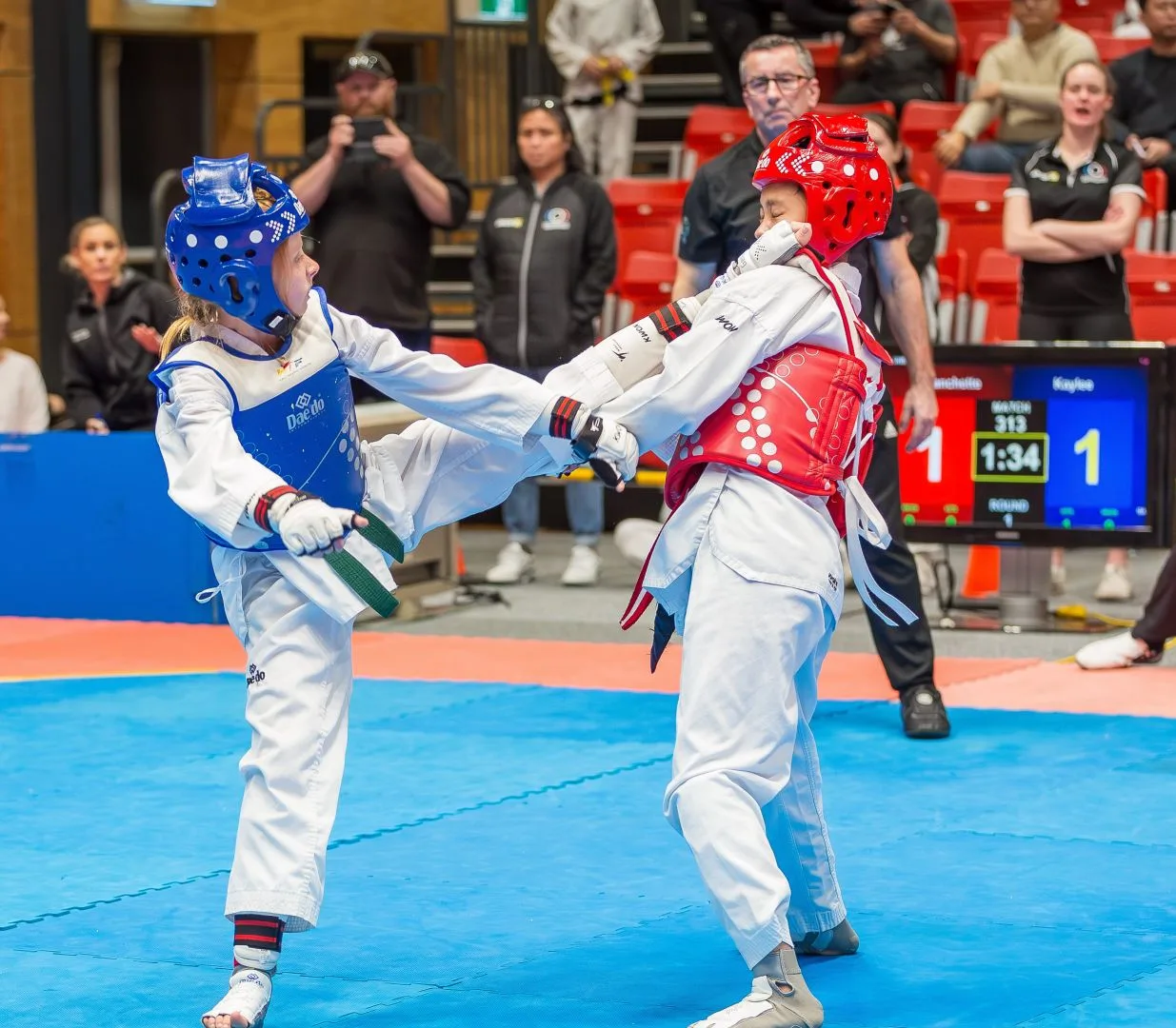 Superior Taekwondo Gallery Image 5